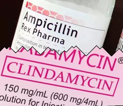 Ampicilline vs Clindamycine