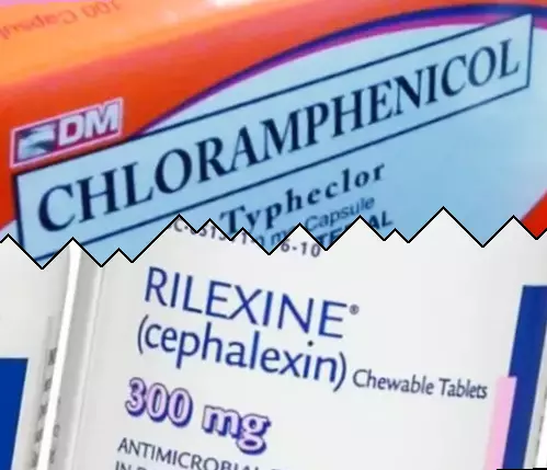 Chlooramfenicol vs Cephalexin